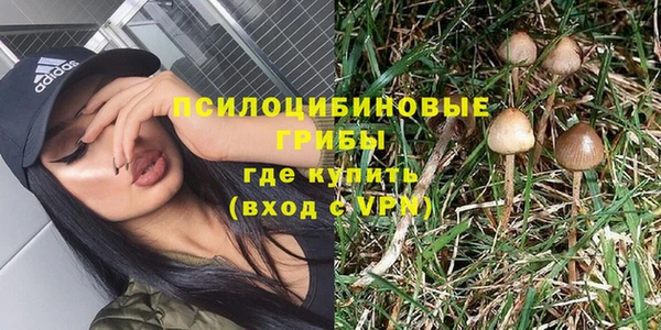 apvp Киренск