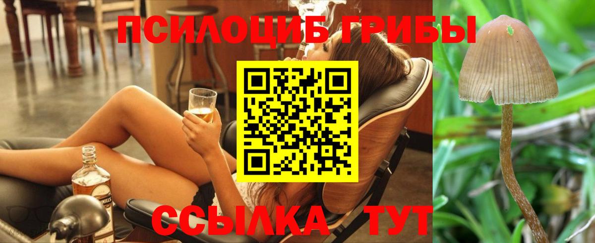 Арзамас  Галлюциногенные грибы Psilocybine cubensis  Вход с VPN  Псилоцибиновые грибы GOLDEN TEACHER 